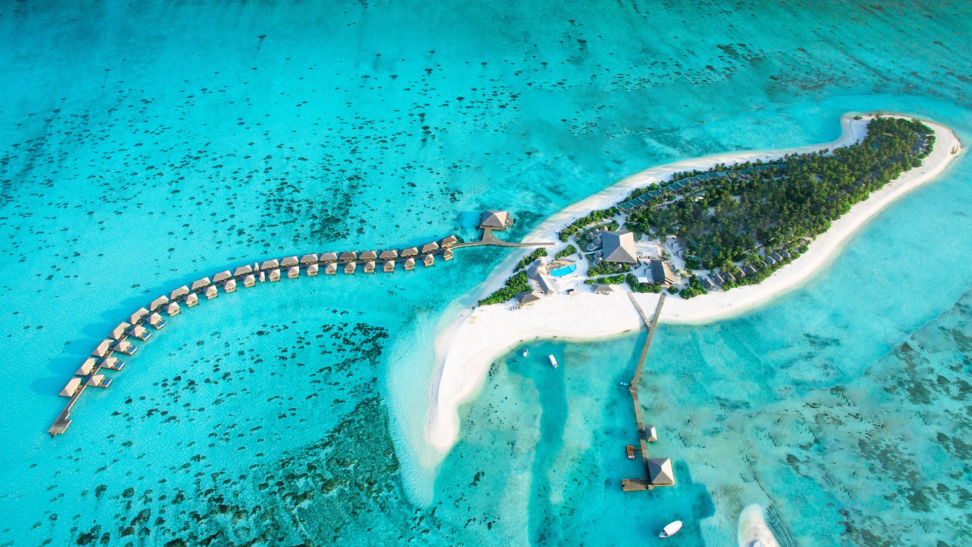 Cocoon Maldives